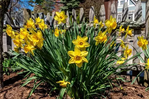 Other - 180 Walnut St, Dedham, MA 02026 photo 5 of 5