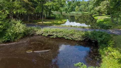 View/Area - 225 Mill St, Raynham, MA 02767 photo 13 of 15