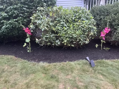 Exterior - 27 Clearview Dr, Framingham, MA 01701 photo 10 of 12