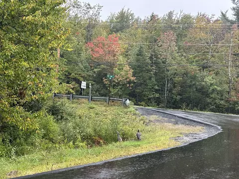 Exterior - 96 West St, Plainfield, MA 01070 photo 17 of 17