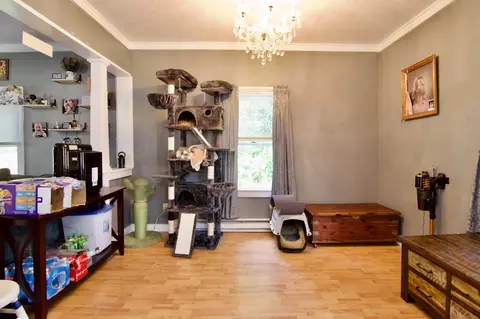 Living - 35 Thayer Ave, Springfield, MA 01108 photo 3 of 3