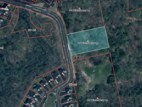 76 Winterberry Ln, Easton, MA 02356