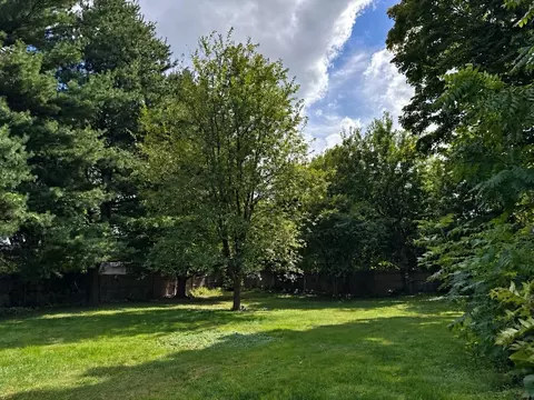 Exterior - 145 Mckinstry Ave, Chicopee, MA 01013 photo 10 of 11