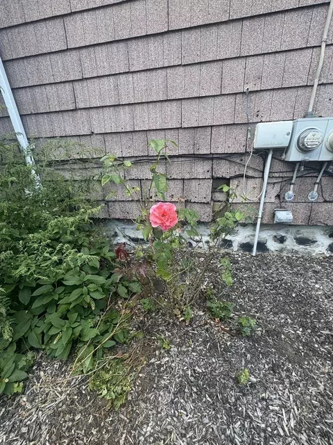 Other - 58 Chatham Rd, Everett, MA 02149 photo 4 of 8