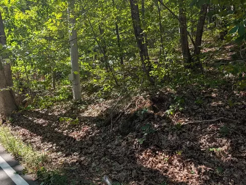 lot3 Pine St, Dover, MA 02030 photo 3