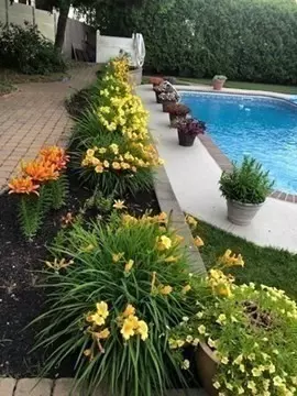 Exterior - 9 Myopia Rd, Stoneham, MA 02180 photo 11 of 11