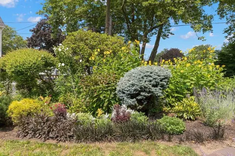 Exterior - 17 Sutton Ave, Salem, MA 01970 photo 10 of 10