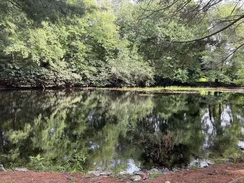 View/Area - 157 Centre St, Dover, MA 02030 photo 2 of 3