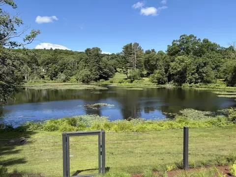 View/Area - 157 Centre St, Dover, MA 02030 photo 3 of 3