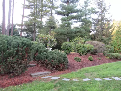 Exterior - 14 Pinegrove Rd, Hingham, MA 02043 photo 4 of 5