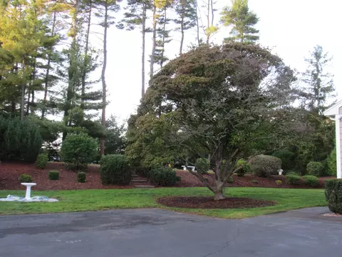 Exterior - 14 Pinegrove Rd, Hingham, MA 02043 photo 5 of 5
