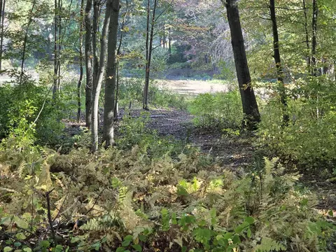 Other - Lt1 Sunny, Webster, MA 01570 photo 4 of 6