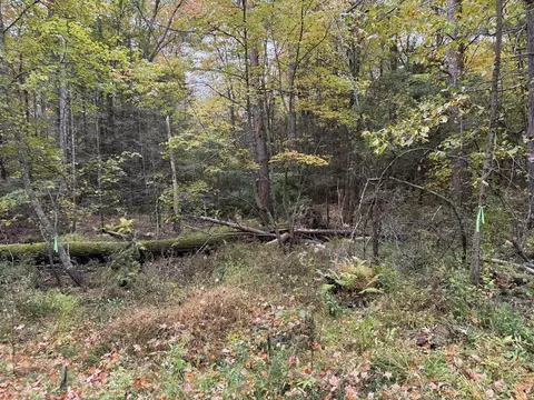0 Old Stage Rd, Hatfield, MA 01038 photo 2
