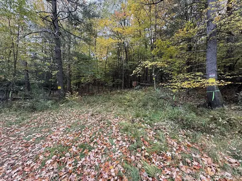 0 Old Stage Rd, Hatfield, MA 01038 photo 3