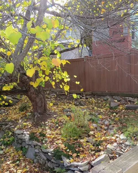 Exterior - 11 Sonoma Dr, Worcester, MA 01605 photo 4 of 6