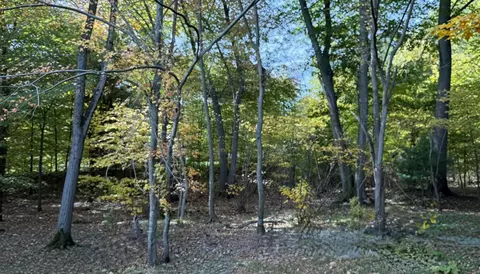 Other - 114 Chickering Rd, Dedham, MA 02026 photo 1 of 6