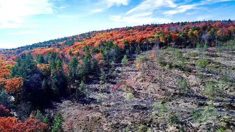 00 Chestnut Hill Rd, Orange, MA 01364
