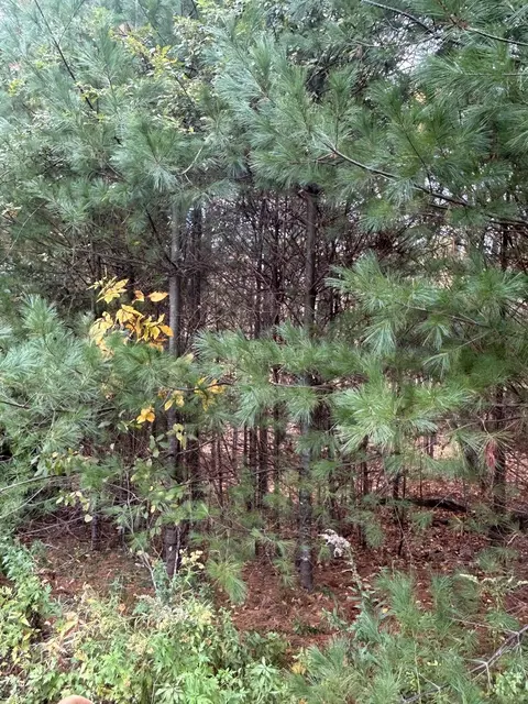 Other - 147 Monroe, Douglas, MA 01516 photo 7 of 12