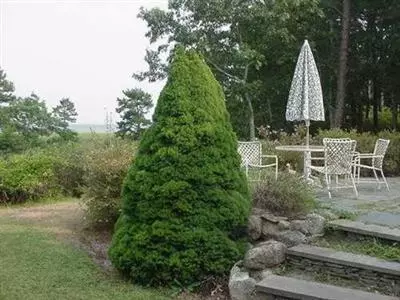 20 Vineyard Rd, Cotuit, MA 02635 photo 3
