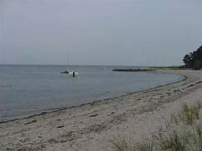 20 Vineyard Rd, Cotuit, MA 02635 photo 5