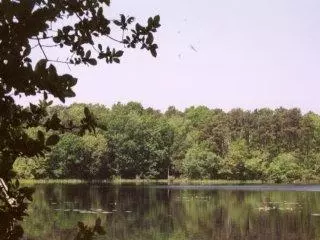 41 Babbling Brook Rd, Centerville, MA 02632 photo 3