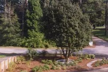 61 Harrison Rd, Centerville, MA 02632 photo 3