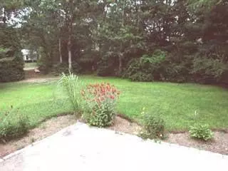 20 Buckskin Pt, Centerville, MA 02632 photo 6