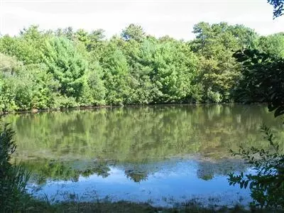124 Captain Carletons Rd, Cotuit, MA 02635 photo 12