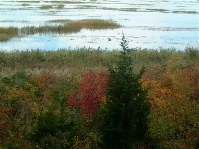 125 Herring Brook Rd, Eastham, MA 02642 photo 2
