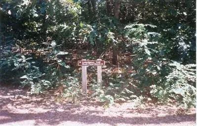 180 Luthers Ln, Eastham, MA 02642 photo 4