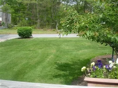 42 Saddleback Rd, Mashpee, MA 02649 photo 3