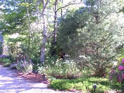 34 Cotuit Cove Rd, Cotuit, MA 02635 photo 5