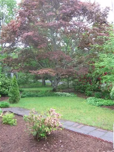 228 Scudder Rd, Osterville, MA 02655 photo 3