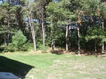 56 Liam Ln, Centerville, MA 02632 photo 6