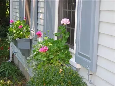 252 Main St, Centerville, MA 02632 photo 8