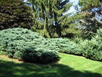 252 Main St, Centerville, MA 02632 photo 7