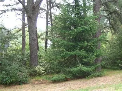 13 Tradewind Dr, Mashpee, MA 02649 photo 11