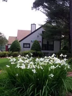 55 Shellback Way, Mashpee, MA 02649 photo 5