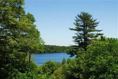 223 Regency Dr, Marstons Mills, MA 02648 photo 1