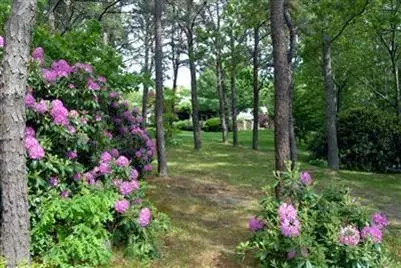 285 Seapuit Rd, Osterville, MA 02655 photo 13