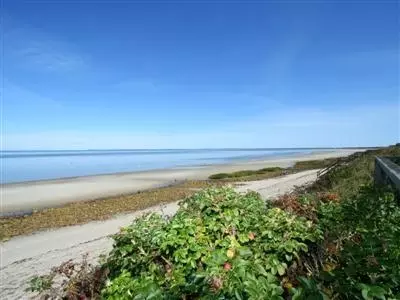 20 Nancy May Path, Brewster, MA 02631 photo 1