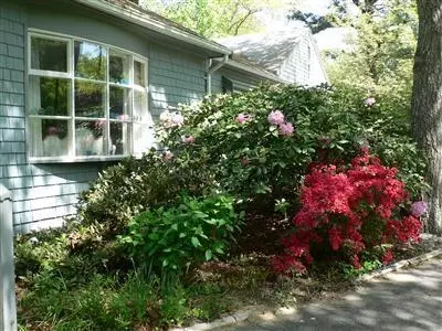 117 Starlight Dr, Marstons Mills, MA 02648 photo 2