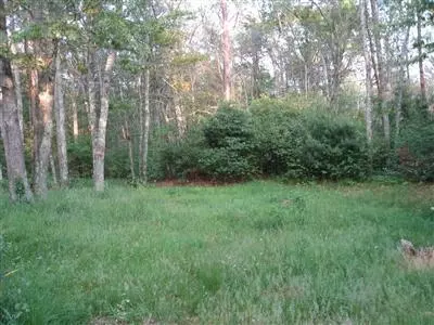 151 Oak St, Centerville, MA 02668 photo 3
