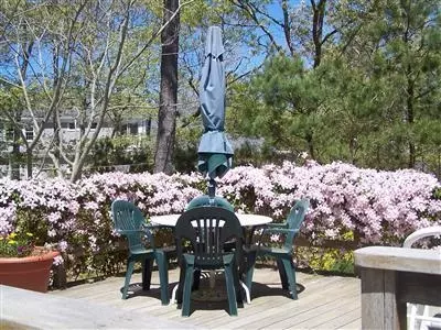 2305 Herring Brook Rd, Eastham, MA 02642 photo 10