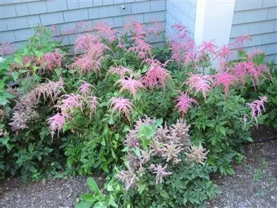 2653 Main St, Barnstable, MA 02630 photo 15