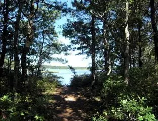 314 Monomoscoy Rd, Mashpee, MA 02649 photo 2
