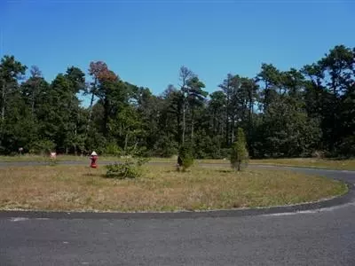 10 Brewster Ln, Sandwich, MA 02563 photo 1