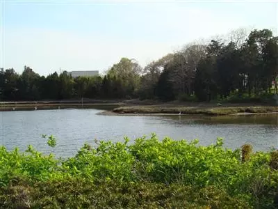 28 Benedict Rd, Bourne, MA 02532 photo 7