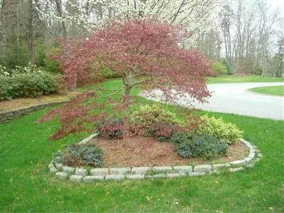44 Sandy Fox Dr, Mashpee, MA 02649 photo 10