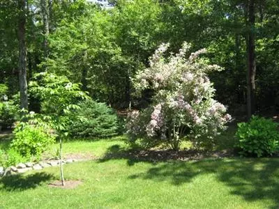 51 Far Fields Rd, Brewster, MA 02631 photo 29